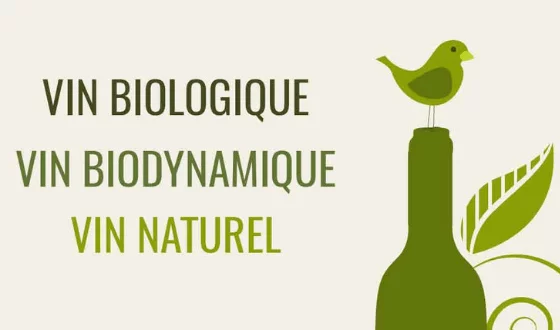 banniere billet blog vins bio biodynamie nature.png