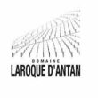 Domaine Laroque D'Antan