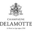 Champagne - Delamotte